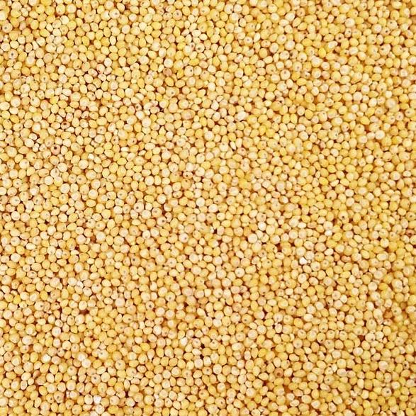 hulled white proso millet