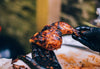 ProQ Barbecues & Smokers, Charcoal BBQs & Food Smoking Products