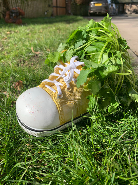 yellow converse for babies