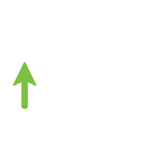 FOInca_Results_ecommerce