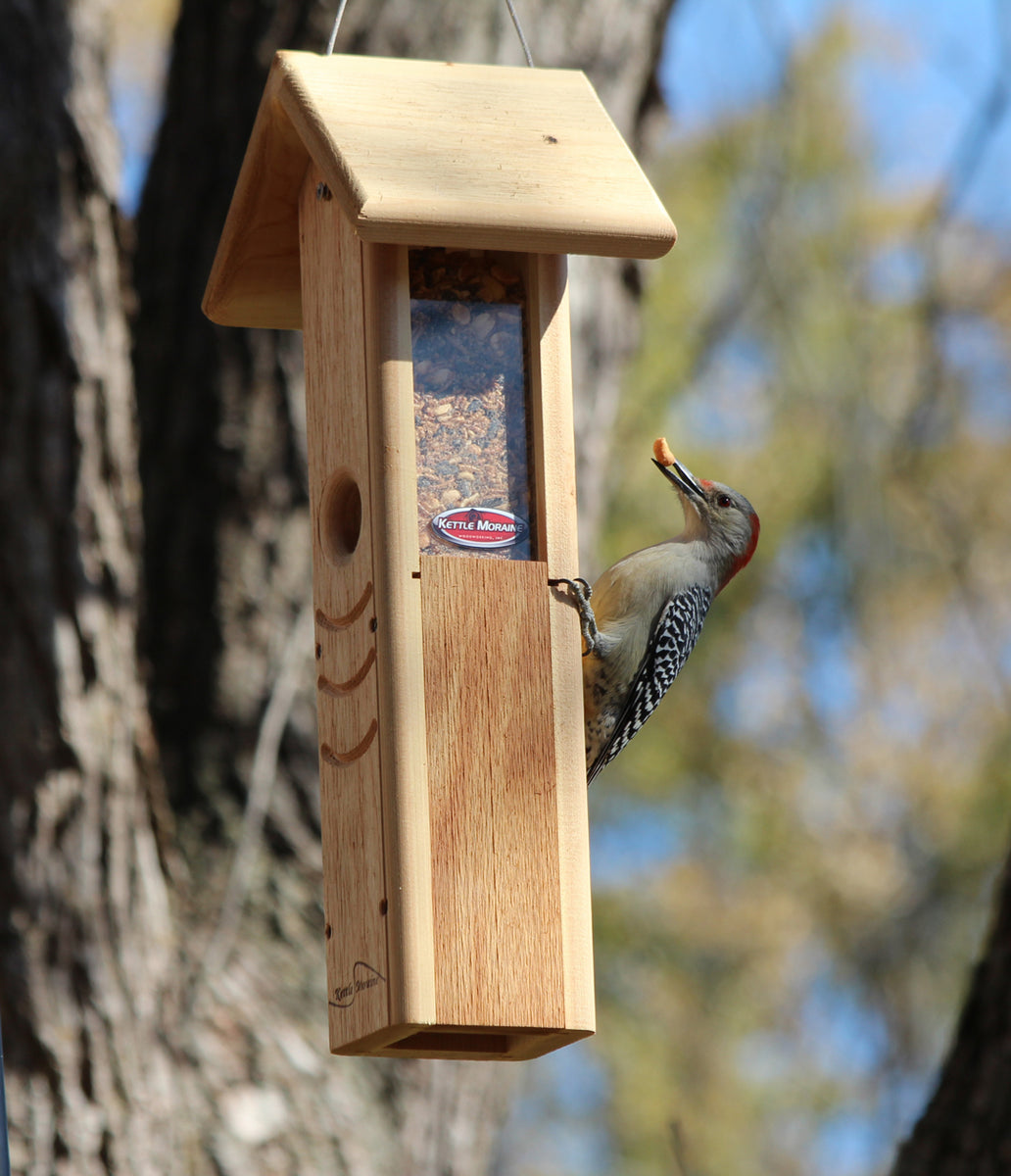 Kettle Moraine Upside Down Clinger Suet Plug Woodpecker Feeder Starling Proof 