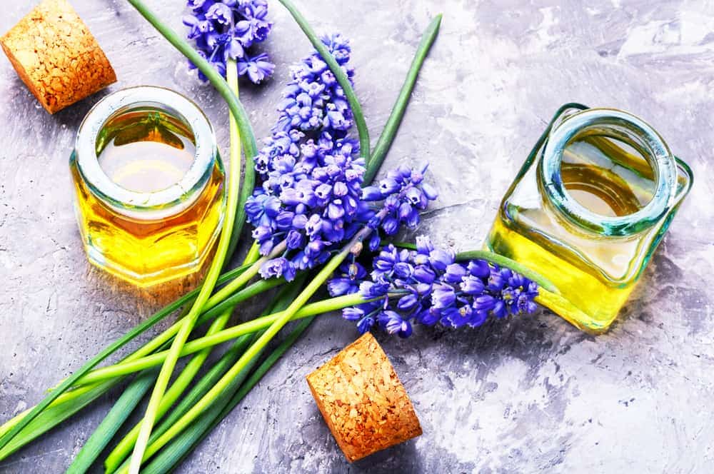 hyacinth essential oil