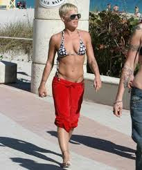 Singer Pink Workout & Diet: Getting A Rock Star Body (Updated 2023
