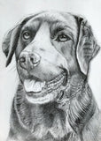 Red Brush Art Pet Portrait Dog Drawing