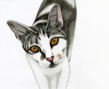 Red Brush Art Pet Portrait Cat Drawing