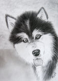 Red Brush Art Pet Portrait Dog drawing