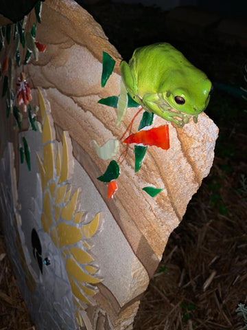 Green Tree Frog Mosaic