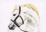 Red Brush Art Pet Portrait Horse Sketch