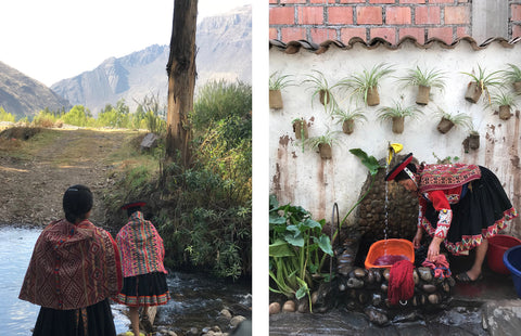 foraging and natural dyeing peru