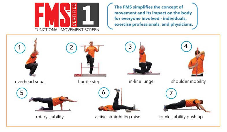 Fms Test Kit Fysioline 