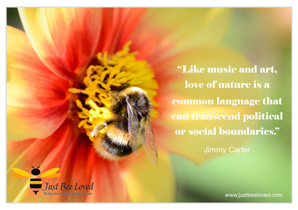 Bee and Nature Quotes Jimmy Carter