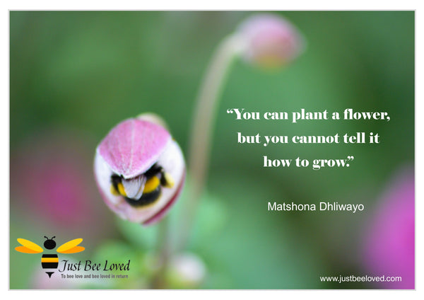 Bee and Nature Quotes Matshona Dhliwayo