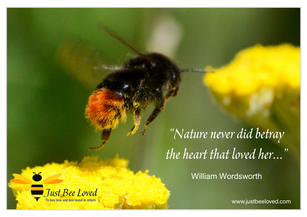 Bee and Nature Quotes William Wordsworth 