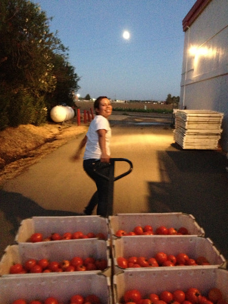 Tomatoes being hand-carted away into production room
