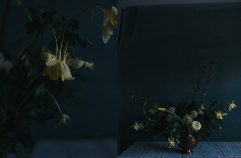 Grace et flore oeuvre photographique fleurs