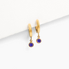 Tini Luxe Birthstone Charm Hoop Earrings