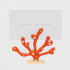 Joanna Buchanan Coral placecard holders, coral, set of two