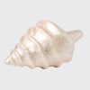 Joanna Buchanan Capiz shell decorative object