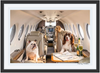 Gray Malin Private Jet, Palm Beach