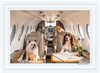 Gray Malin Private Jet, Palm Beach