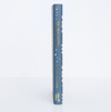 The Great Gatsby | Wordsworth Collector's Edition | Book