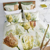 Designers Guild Spring Tulip Sham