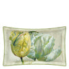 Designers Guild Spring Tulip Sham