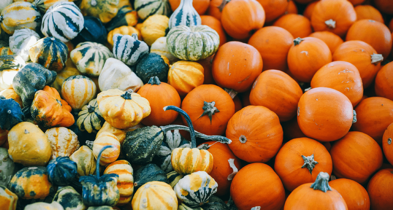 20 Fruits & Vegetables To Enjoy This Season