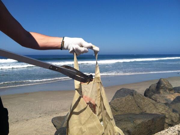 Beach Cleanups 