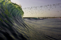 Morgan Grosskreutz surf photography