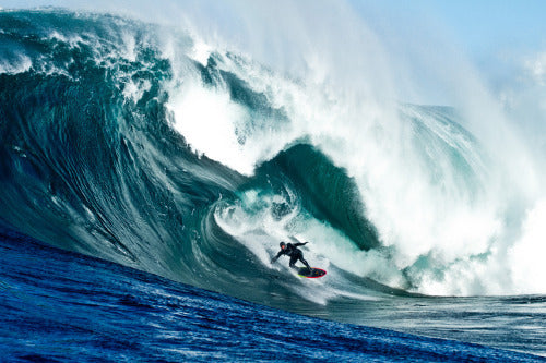 LEGENDARY SURFERS