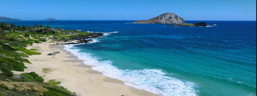 Oahu Hawaiian Island Bodysurf