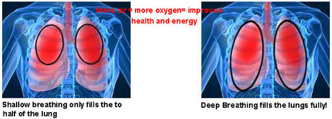 Diaphragmatic breathing for bodysurfing and learning how to hold your breath longer