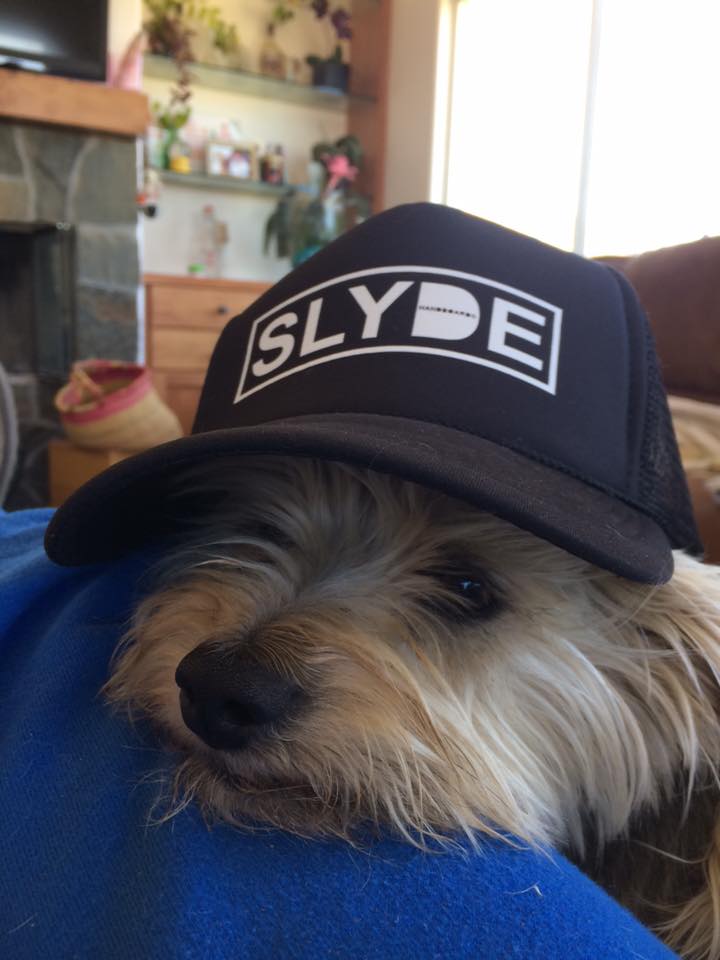 Slyde Handboard Dog