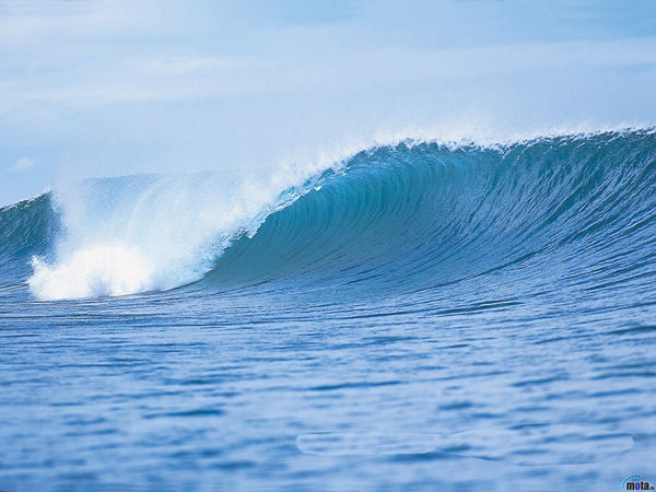 pipeline bodysurfing classic