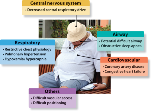 Obstructive sleep apnoea (OSA) and obesity hypoventilation syndrome (OHS) are breathing disorders that are related