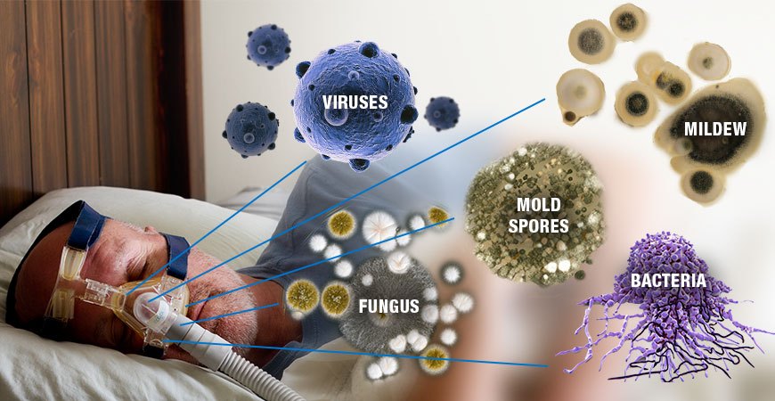 Bacteria. Virus, Mold, Mildew