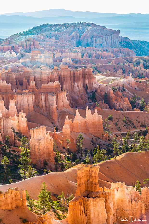 Bristlecone Point, Bryce Canyon National Park | National Park Posters