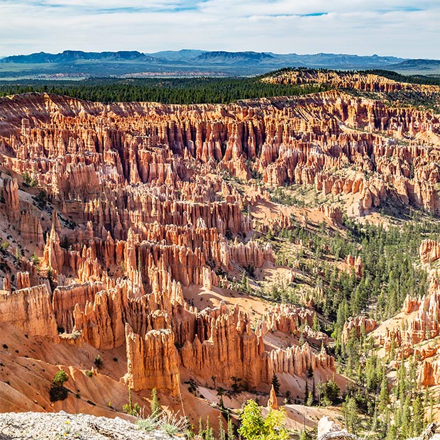 Bryce Canyon, Rim Trail | National Park Posters