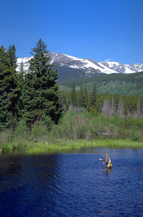 Fishing Lily Lake, Rocky Mountain National Park