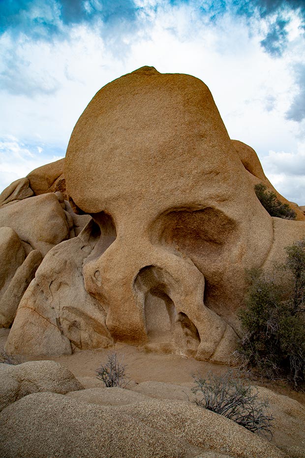 Joshua Tree National Park | Skull Rock