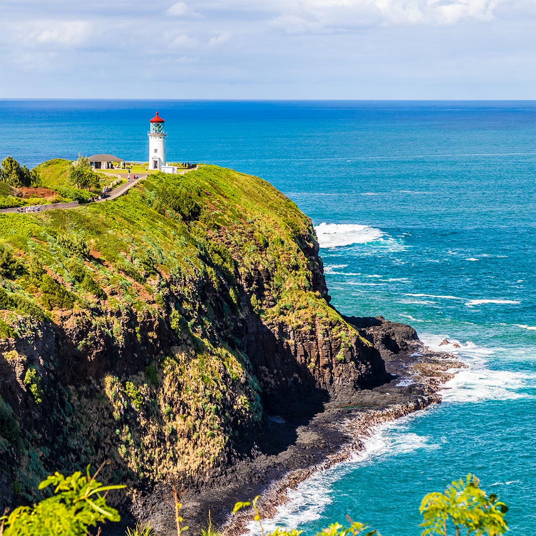 Kilauea Point National Wildlife Refuge | National Park Posters