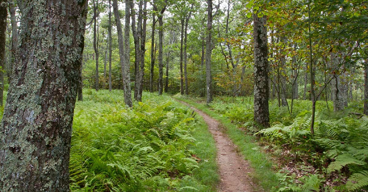 Shenandoah National Park