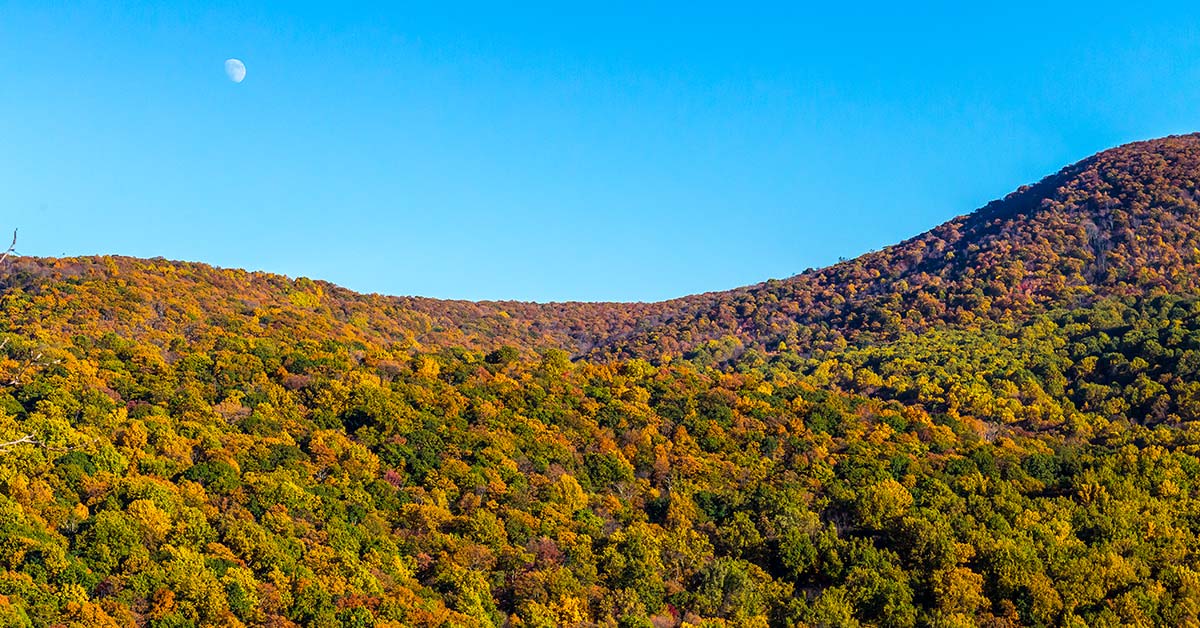 Shenandoah National Park