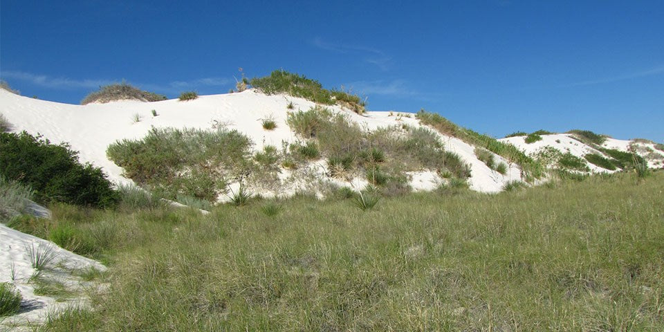 Dune Life Nature Trail