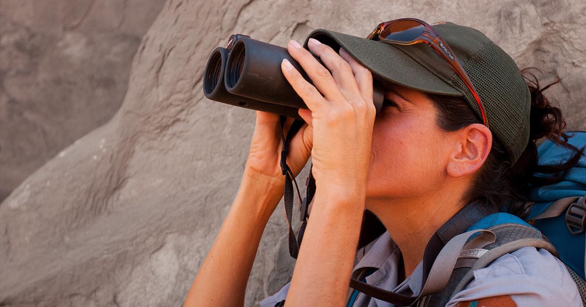 Birdwatching, Yosemite National Park