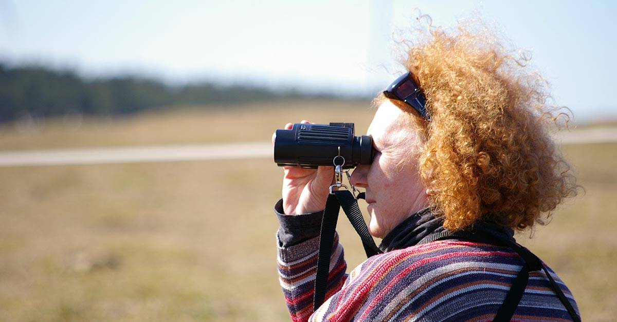 Bird Watching, Indiana Dunes National Park
