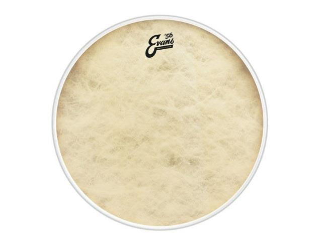 evans 22 bass drum head