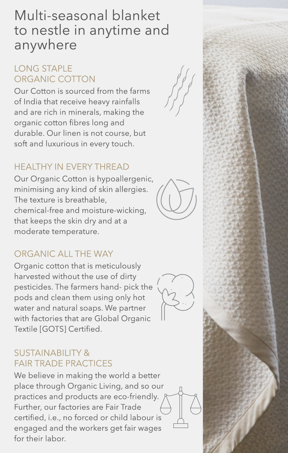 Chunky Knit Organic Cotton Throws
