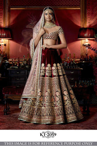 Bridal KT2059 Bollywood Inspired Beige Velvet Net Lehenga Choli - Fashion Nation